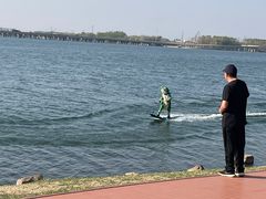 -丁香湖公园