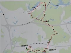 -火炉山森林公园