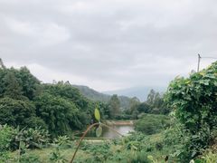 景观位-天强农家菜馆