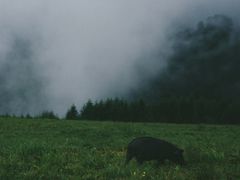 -硗碛藏寨·神木垒景区