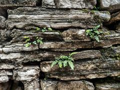 -高荡千年布依古寨旅游景区