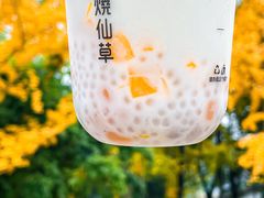 -书亦烧仙草(汇智中心概念店)
