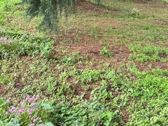 -虹梅食堂·爱蝦乃家