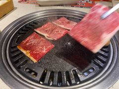 -猫爪爪原切自助烤肉(观音桥阳光世纪店)