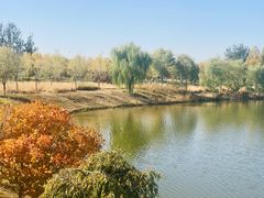 -东郊湿地公园