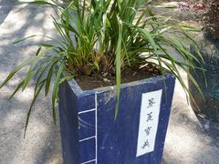 -天龙八部武侠城