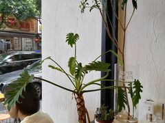 -常识咖啡common sense(春熙路店)