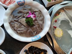 -董家湾重庆老火锅(嘉华店)