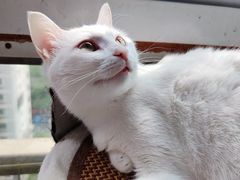 -联合动物医院(光谷诊疗中心)