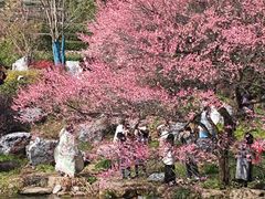 -中国茶叶博物馆(双峰馆区)