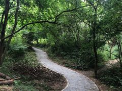 -青龙山国家森林公园