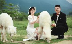 -花漾摄影优选工作室(东莞原创作品店)