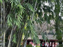 -望江楼公园