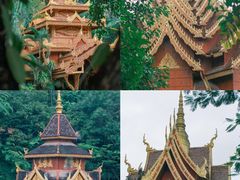 -西双版纳原始森林公园