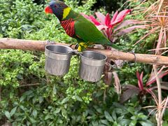 -南宫五洲植物乐园