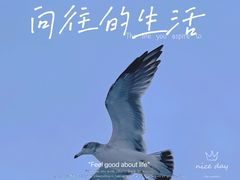 -长岛大黑山岛