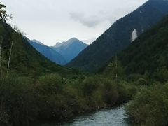 -九寨沟-树正沟