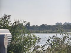 -绿堤公园