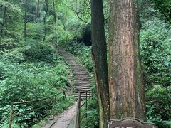 -青城山