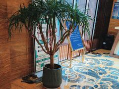 -益健·足疗汗蒸SPA(芙蓉广场店)