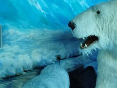 -多彩贵州城极地海洋世界