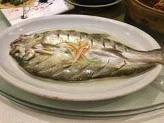 -老东吴食府(雅都店)