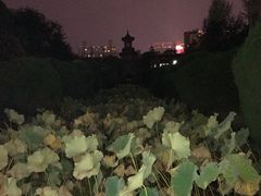 -四川大学(华西校区)