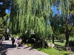 -西海子公园