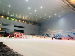 -哈尔滨热雪奇迹