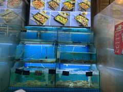 -老东镇啤酒屋海鲜加工·蒸汽海鲜·海鲜烧烤(台东店)