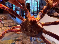 -连鹭海鲜·海肠捞饭·海胆饭(星海店)
