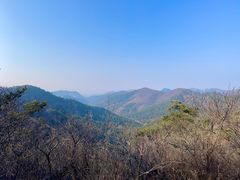 -金龙寺国家森林公园