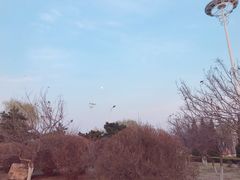 -丁香湖公园
