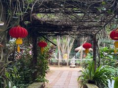 -海南热带野生动植物园