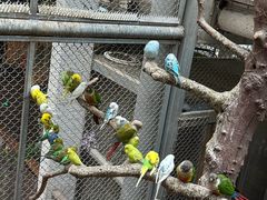 -正佳雨林生态植物园