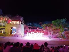 -三亚红色娘子军演艺公园景区