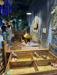 -酷嗒动物文化乐园(cutezoo西溪乐天城店)