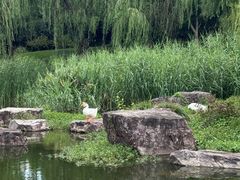 -日出青木·杭帮菜名店