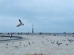 -东港音乐喷泉广场