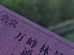 -万峰林风景区