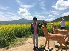 -扁都口生态休闲旅游区