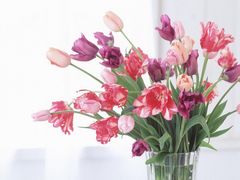 -常州逸高酒店-中餐厅