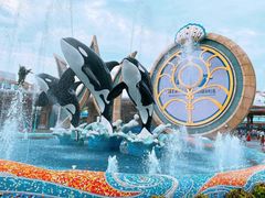 -上海海昌海洋公园