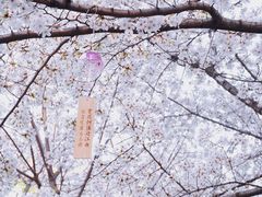 -堤角公园