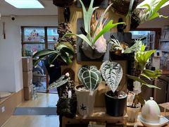 -本無咖啡·BeanWood Coffee