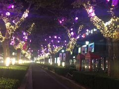 -上海波特曼丽思卡尔顿酒店
