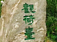 -白洋淀景区