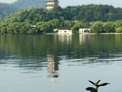 -杭州西湖柳莺里酒店