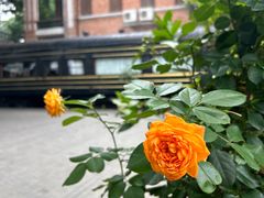 -火车头法国西餐厅