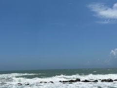 -广东惠东海龟国家级自然保护区